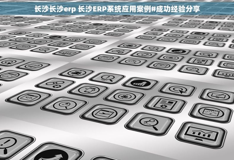 长沙长沙erp 长沙ERP系统应用案例#成功经验分享 长沙长沙erp 长沙ERP系统应用案例#成功经验分享