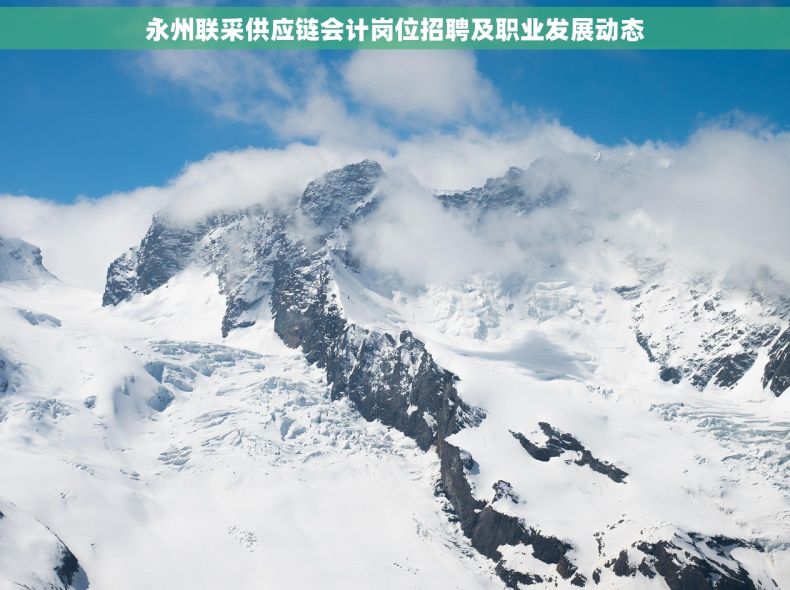 永州联采供应链会计岗位招聘及职业发展动态