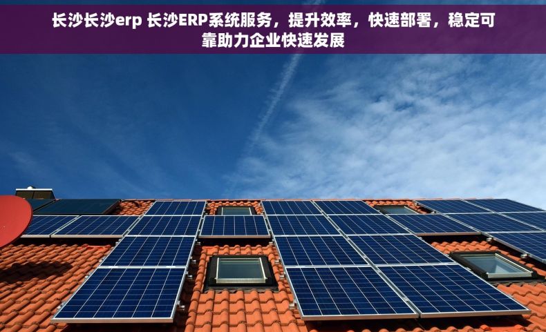 长沙长沙erp 长沙ERP系统服务,提升效率,快速部署,稳定可靠助力企业快速发展 长沙长沙erp 长沙ERP系统服务,提升效率,快速部署,稳定可靠助力企业快速发展