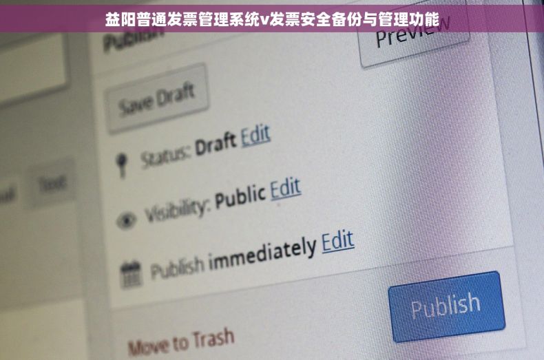 益阳普通发票管理系统v发票安全备份与管理功能