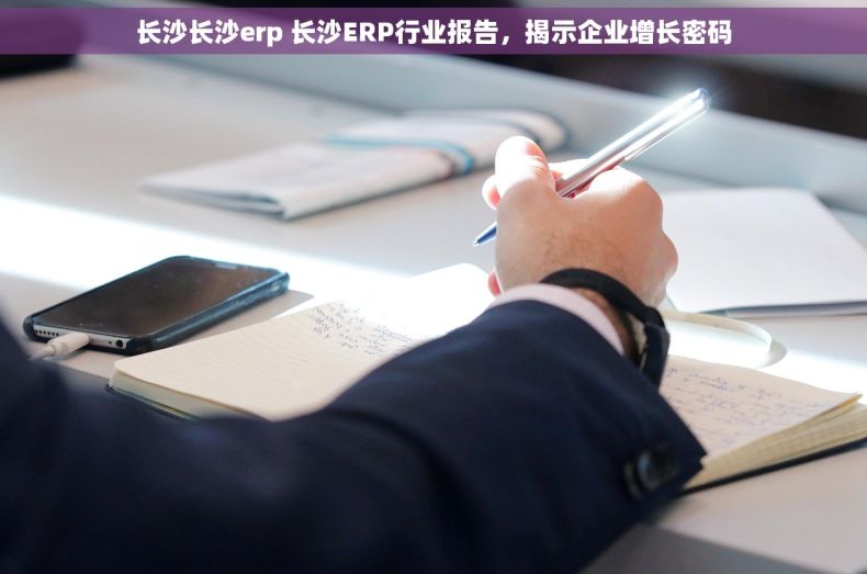 长沙长沙erp 长沙ERP行业报告，揭示企业增长密码
