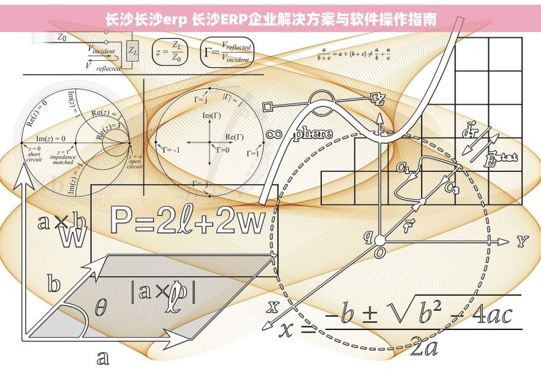 长沙长沙erp 长沙ERP企业解决方案与软件操作指南 长沙长沙erp 长沙ERP企业解决方案与软件操作指南