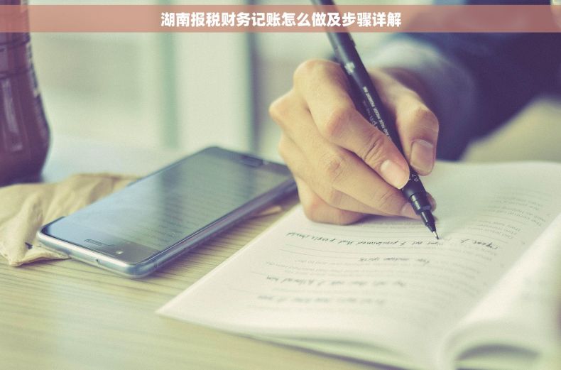 湖南报税财务记账怎么做及步骤详解