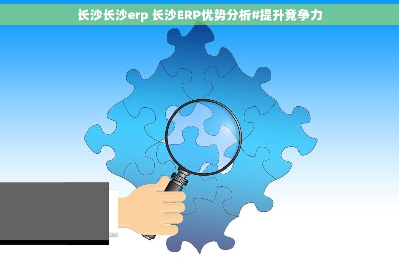 长沙长沙erp 长沙ERP优势分析#提升竞争力