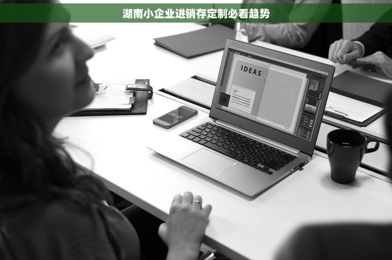 湖南小企业进销存定制必看趋势 湖南小企业进销存定制必看趋势