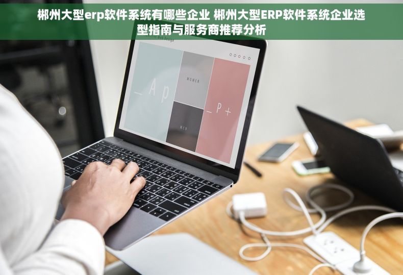 郴州大型erp软件系统有哪些企业 郴州大型ERP软件系统企业选型指南与服务商推荐分析