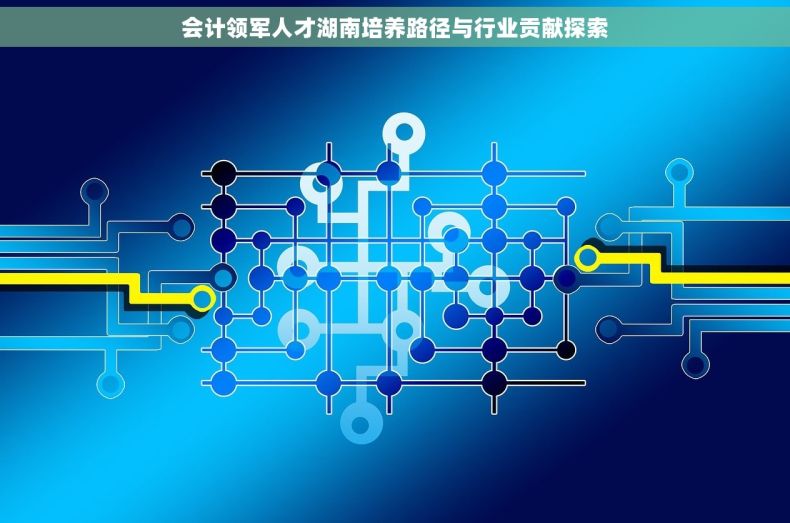 会计领军人才湖南培养路径与行业贡献探索
