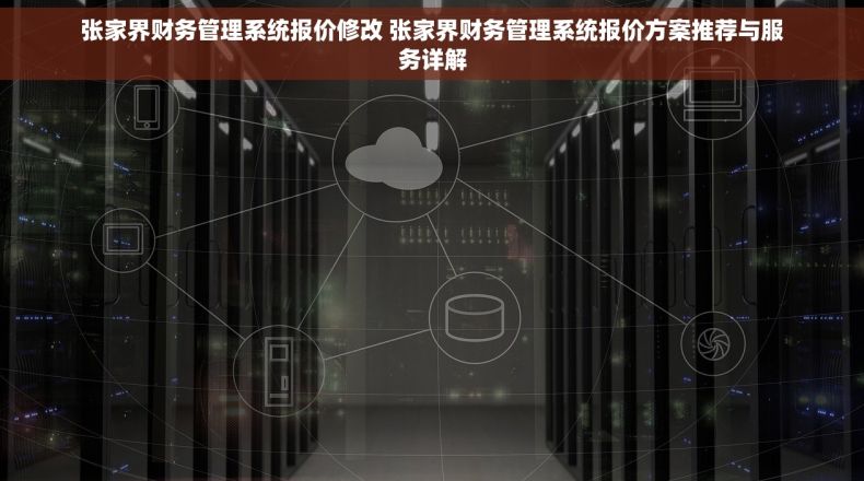 张家界财务管理系统报价修改 张家界财务管理系统报价方案推荐与服务详解