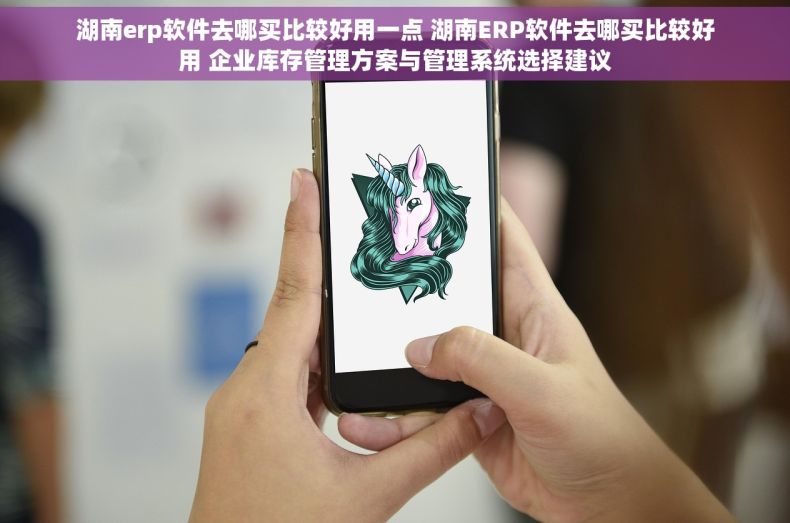 湖南erp软件去哪买比较好用一点 湖南ERP软件去哪买比较好用 企业库存管理方案与管理系统选择建议 湖南erp软件去哪买比较好用一点 湖南ERP软件去哪买比较好用 企业库存管理方案与管理系统选择建议