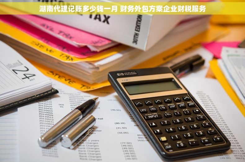 湖南代理记账多少钱一月 财务外包方案企业财税服务