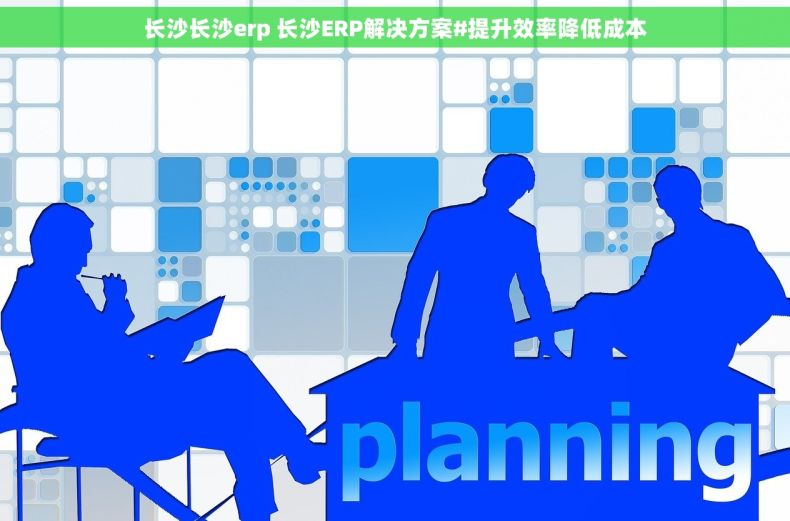 长沙长沙erp 长沙ERP解决方案#提升效率降低成本 长沙长沙erp 长沙ERP解决方案#提升效率降低成本