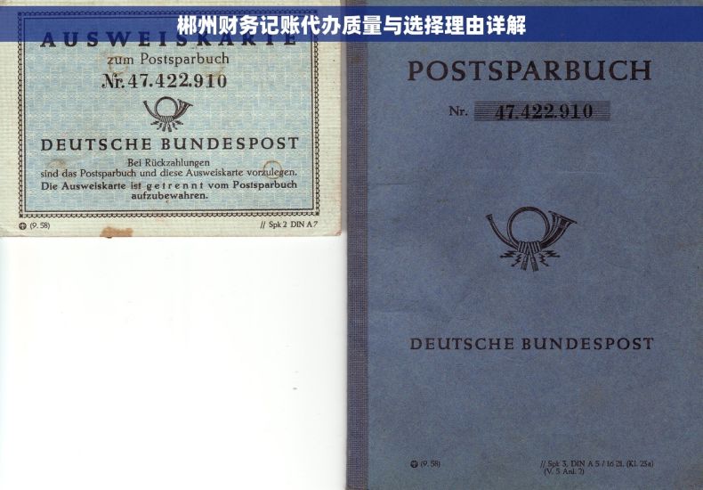 郴州财务记账代办质量与选择理由详解