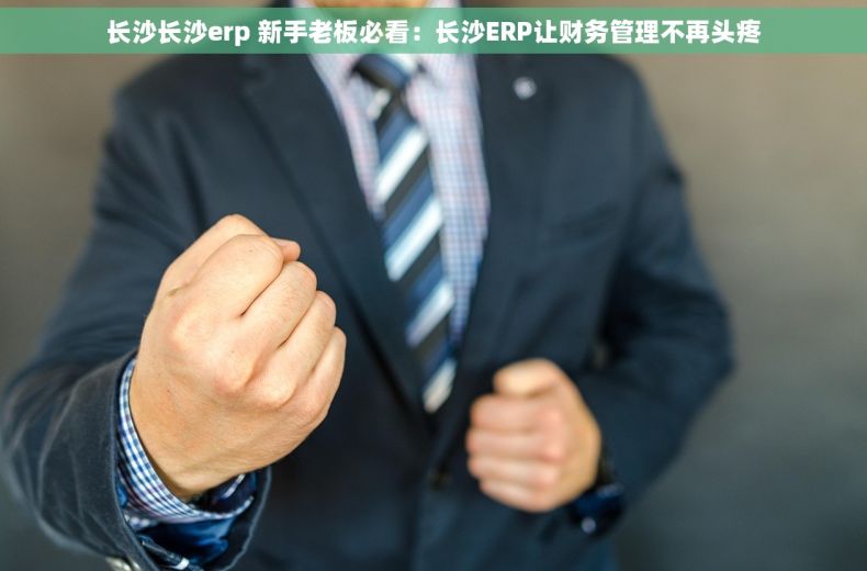 长沙长沙erp 新手老板必看:长沙ERP让财务管理不再头疼 长沙长沙erp 新手老板必看:长沙ERP让财务管理不再头疼
