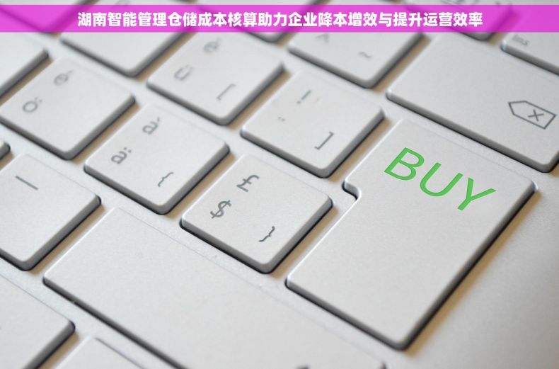 湖南智能管理仓储成本核算助力企业降本增效与提升运营效率 湖南智能管理仓储成本核算助力企业降本增效与提升运营效率