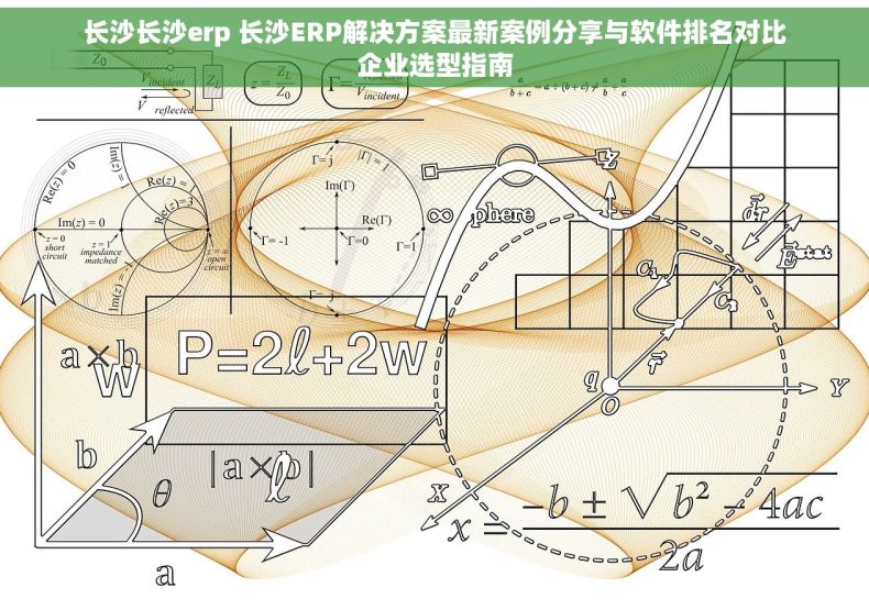 长沙长沙erp 长沙ERP解决方案最新案例分享与软件排名对比企业选型指南