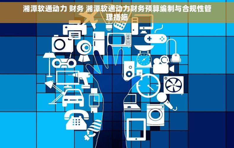 湘潭软通动力 财务 湘潭软通动力财务预算编制与合规性管理措施 湘潭软通动力 财务 湘潭软通动力财务预算编制与合规性管理措施