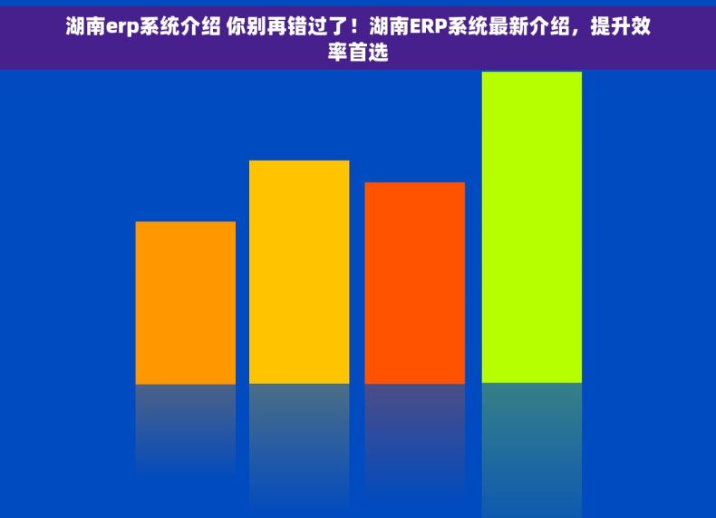 湖南erp系统介绍 你别再错过了！湖南ERP系统最新介绍，提升效率首选