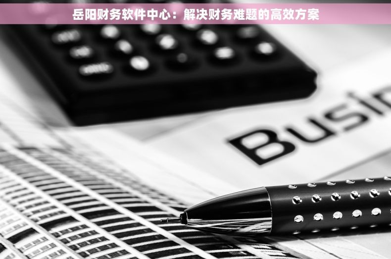 岳阳财务软件中心:解决财务难题的高效方案 岳阳财务软件中心:解决财务难题的高效方案
