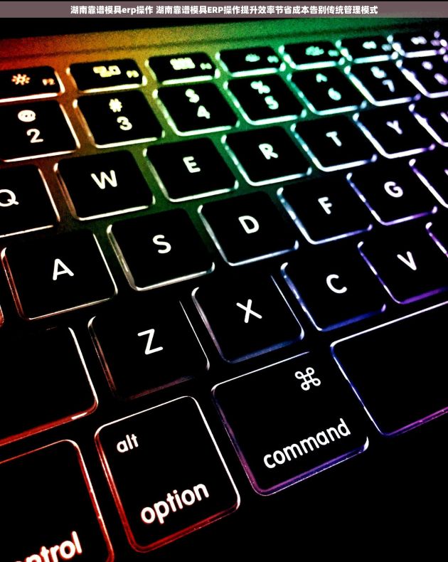 湖南靠谱模具erp操作 湖南靠谱模具ERP操作提升效率节省成本告别传统管理模式 湖南靠谱模具erp操作 湖南靠谱模具ERP操作提升效率节省成本告别传统管理模式