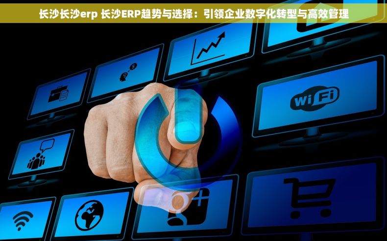 长沙长沙erp 长沙ERP趋势与选择:引领企业数字化转型与高效管理 长沙长沙erp 长沙ERP趋势与选择:引领企业数字化转型与高效管理