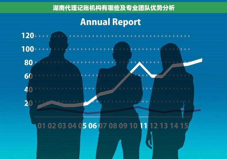 湖南代理记账机构有哪些及专业团队优势分析