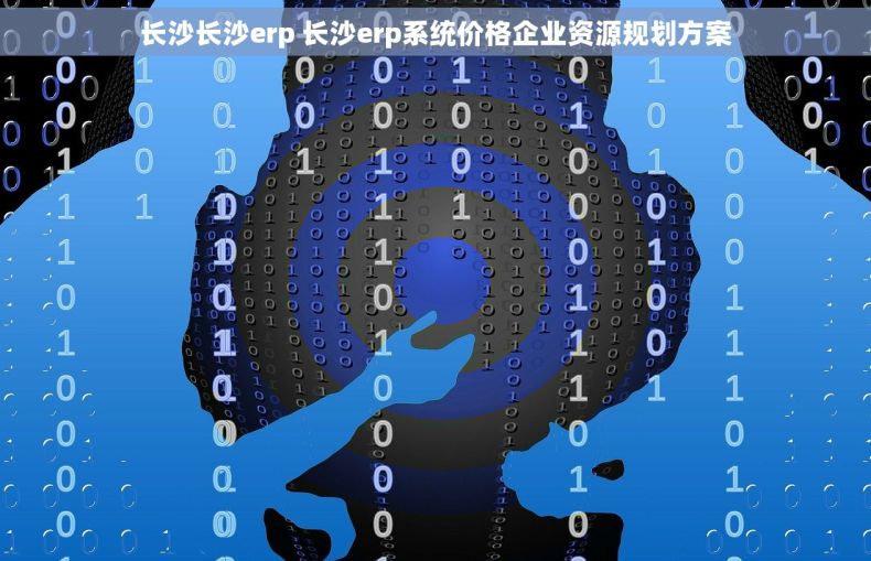 长沙长沙erp 长沙erp系统价格企业资源规划方案