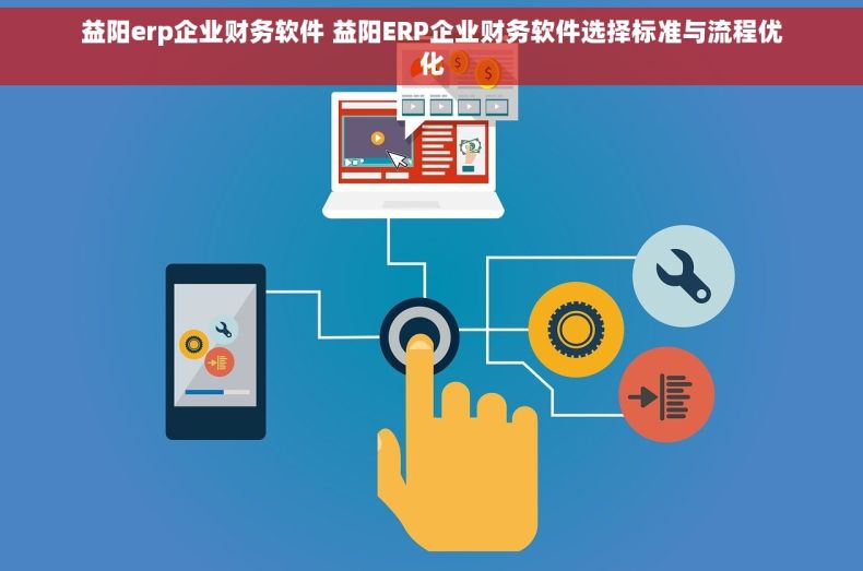 益阳erp企业财务软件 益阳ERP企业财务软件选择标准与流程优化