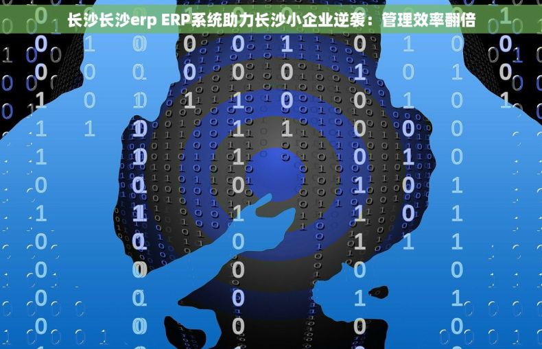 长沙长沙erp ERP系统助力长沙小企业逆袭：管理效率翻倍