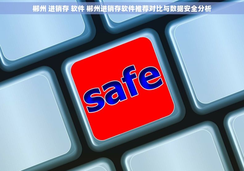 郴州 进销存 软件 郴州进销存软件推荐对比与数据安全分析