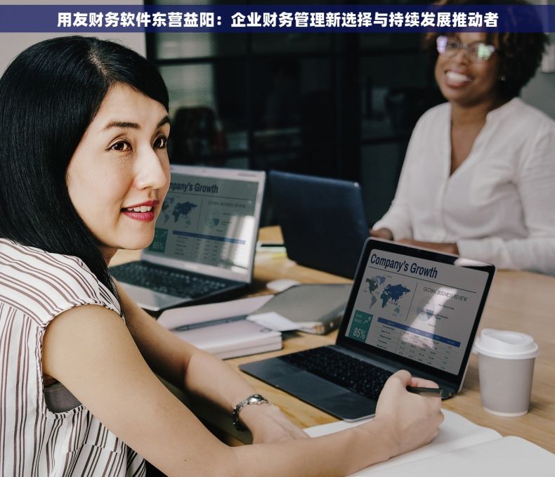 用友财务软件东营益阳:企业财务管理新选择与持续发展推动者