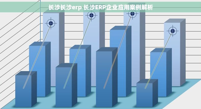 长沙长沙erp 长沙ERP企业应用案例解析 长沙长沙erp 长沙ERP企业应用案例解析