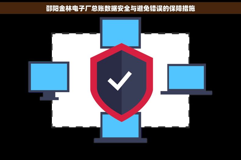 邵阳金林电子厂总账数据安全与避免错误的保障措施