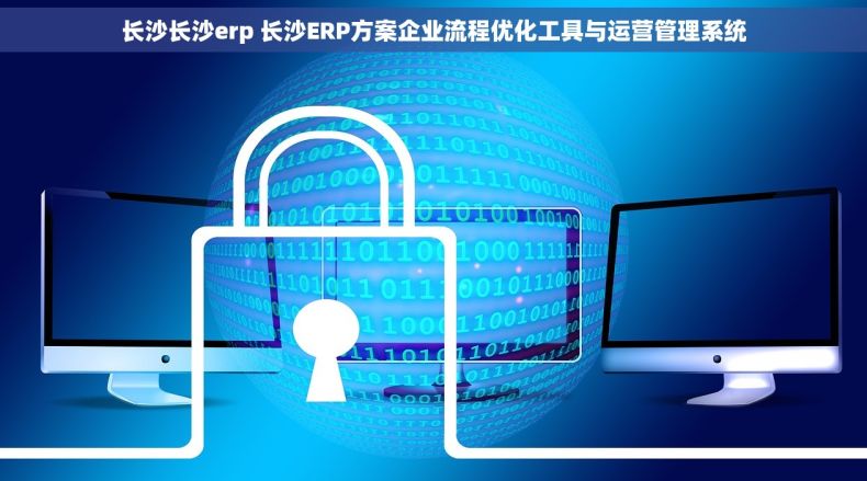 长沙长沙erp 长沙ERP方案企业流程优化工具与运营管理系统 长沙长沙erp 长沙ERP方案企业流程优化工具与运营管理系统