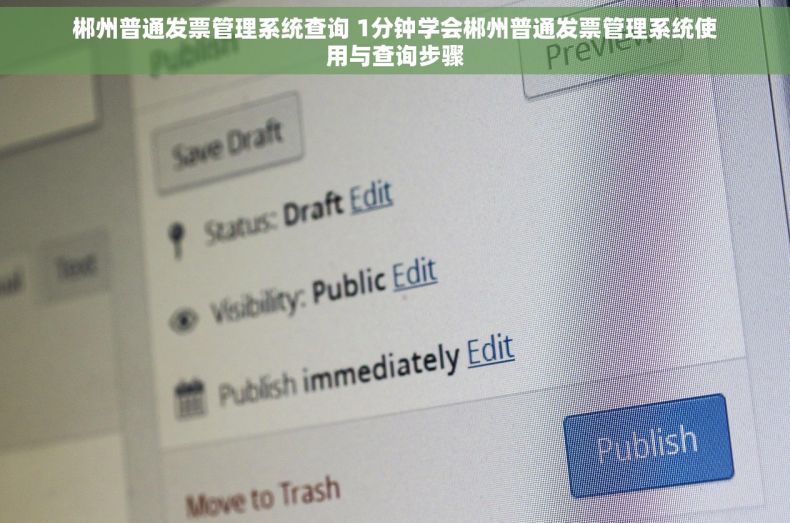 郴州普通发票管理系统查询 1分钟学会郴州普通发票管理系统使用与查询步骤 郴州普通发票管理系统查询 1分钟学会郴州普通发票管理系统使用与查询步骤