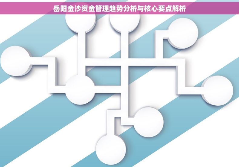 岳阳金沙资金管理趋势分析与核心要点解析