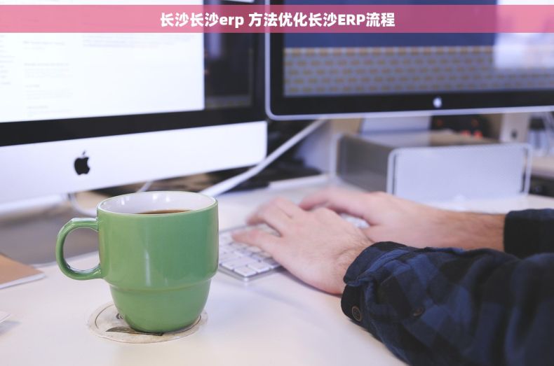 长沙长沙erp 方法优化长沙ERP流程 长沙长沙erp 方法优化长沙ERP流程