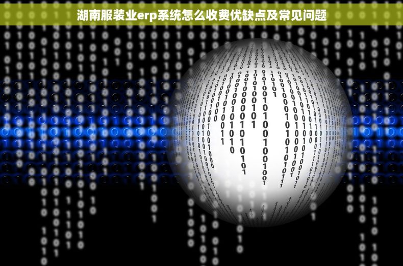 湖南服装业erp系统怎么收费优缺点及常见问题 湖南服装业erp系统怎么收费优缺点及常见问题