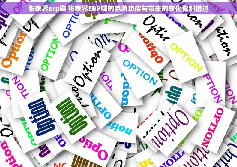 张家界erp碟 张家界ERP碟的隐藏功能与带来的变化你别错过 张家界erp碟 张家界ERP碟的隐藏功能与带来的变化你别错过