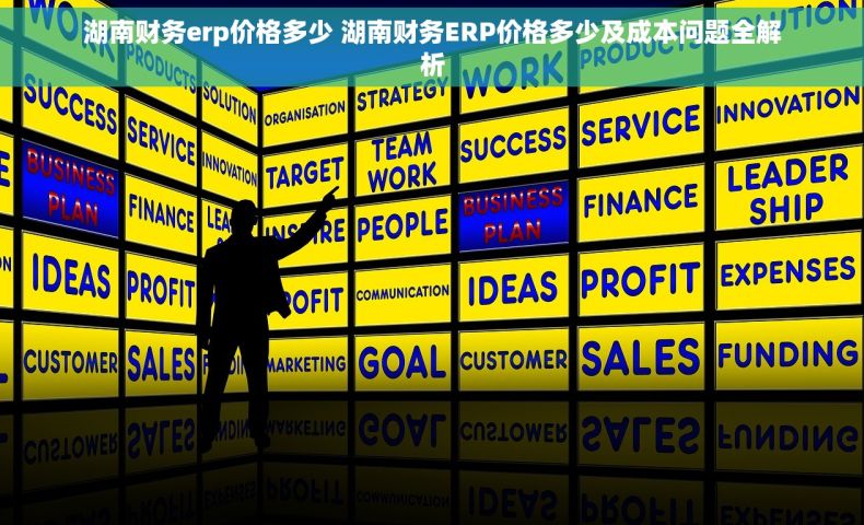 湖南财务erp价格多少 湖南财务ERP价格多少及成本问题全解析