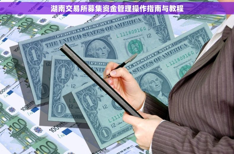 湖南交易所募集资金管理操作指南与教程