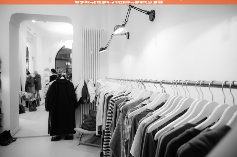 湖南定制服装erp有哪些品牌好一点 湖南定制服装erp品牌推荐与企业选择指南 湖南定制服装erp有哪些品牌好一点 湖南定制服装erp品牌推荐与企业选择指南