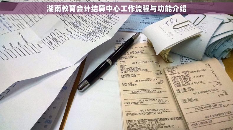 湖南教育会计结算中心工作流程与功能介绍
