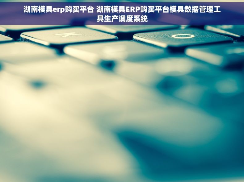 湖南模具erp购买平台 湖南模具ERP购买平台模具数据管理工具生产调度系统 湖南模具erp购买平台 湖南模具ERP购买平台模具数据管理工具生产调度系统