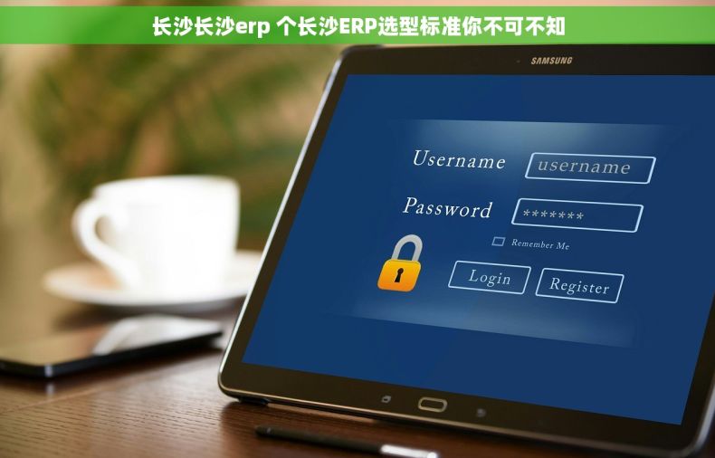 长沙长沙erp 个长沙ERP选型标准你不可不知 长沙长沙erp 个长沙ERP选型标准你不可不知