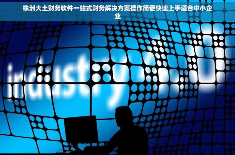 株洲大土财务软件一站式财务解决方案操作简便快速上手适合中小企业 株洲大土财务软件一站式财务解决方案操作简便快速上手适合中小企业