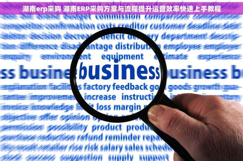 湖南erp采购 湖南ERP采购方案与流程提升运营效率快速上手教程