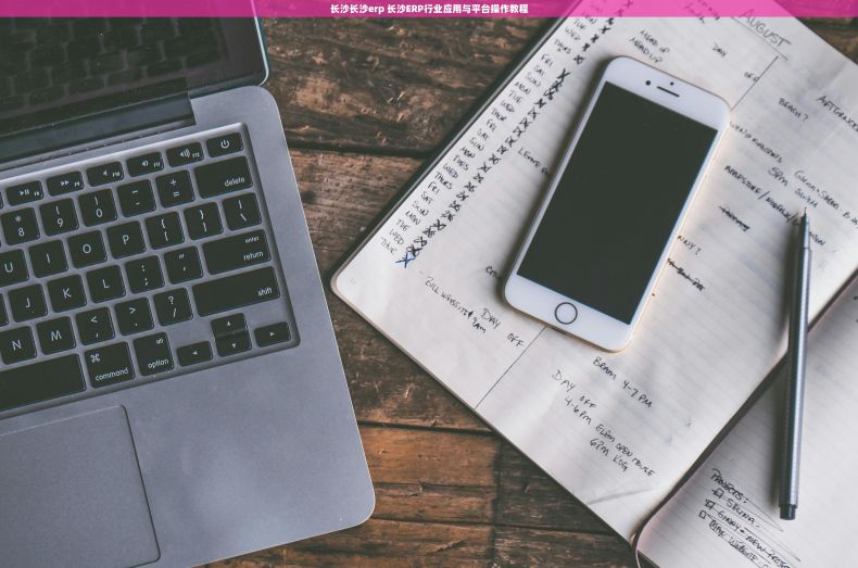 长沙长沙erp 长沙ERP行业应用与平台操作教程