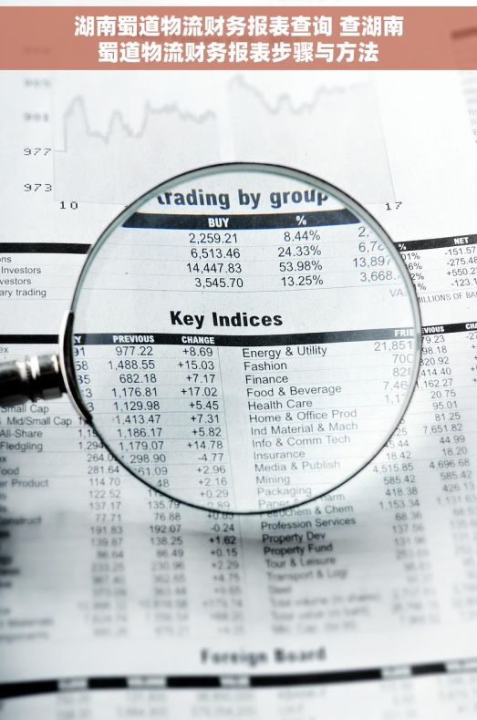 湖南蜀道物流财务报表查询 查湖南蜀道物流财务报表步骤与方法
