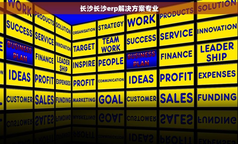 长沙长沙erp解决方案专业