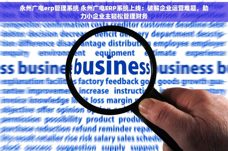 永州广电erp管理系统 永州广电ERP系统上线：破解企业运营难题，助力小企业主轻松管理财务